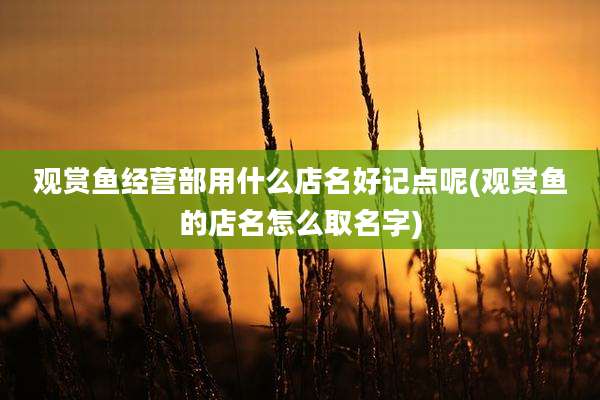 观赏鱼经营部用什么店名好记点呢(观赏鱼的店名怎么取名字)