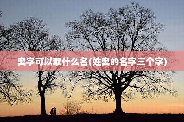 奥字可以取什么名(姓奥的名字三个字)