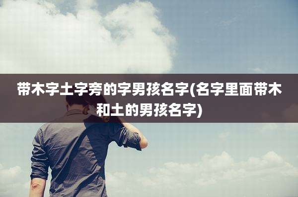 带木字土字旁的字男孩名字(名字里面带木和土的男孩名字)