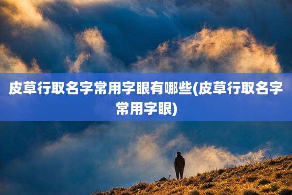 皮草行取名字常用字眼有哪些(皮草行取名字常用字眼)