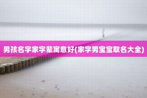 男孩名字家字辈寓意好(家字男宝宝取名大全)