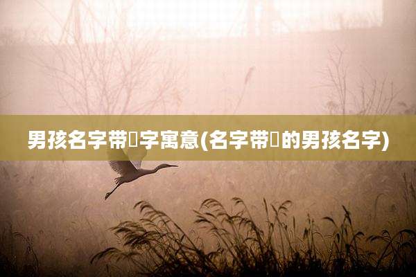 男孩名字带璟字寓意(名字带璟的男孩名字)
