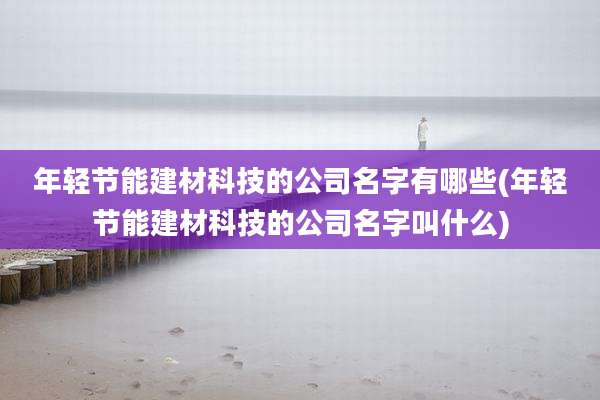 年轻节能建材科技的公司名字有哪些(年轻节能建材科技的公司名字叫什么)