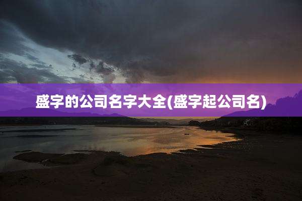盛字的公司名字大全(盛字起公司名)