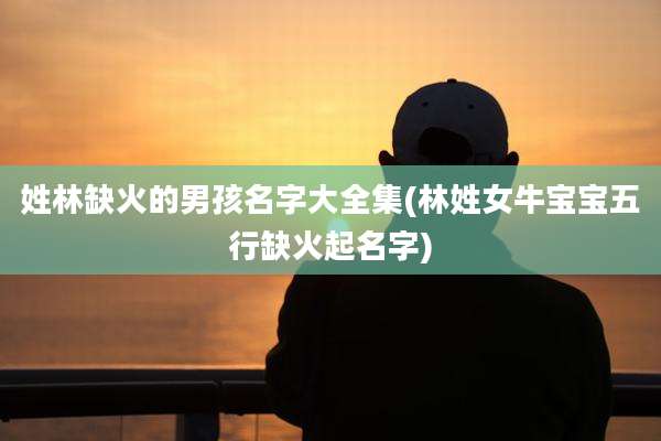 姓林缺火的男孩名字大全集(林姓女牛宝宝五行缺火起名字)