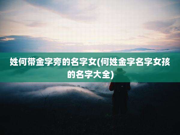 姓何带金字旁的名字女(何姓金字名字女孩的名字大全)