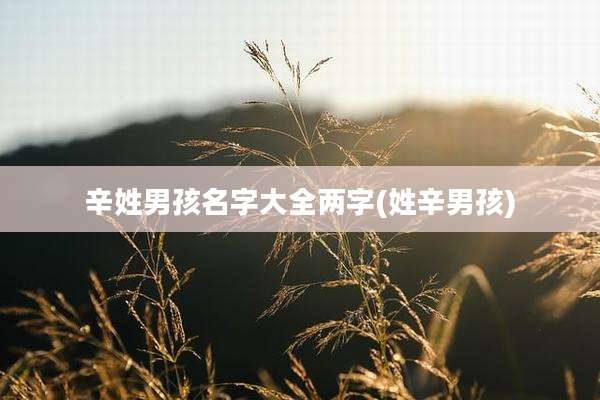 辛姓男孩名字大全两字(姓辛男孩)