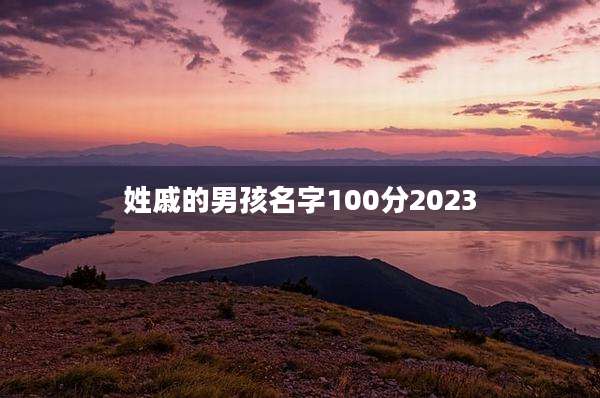 姓戚的男孩名字100分2023