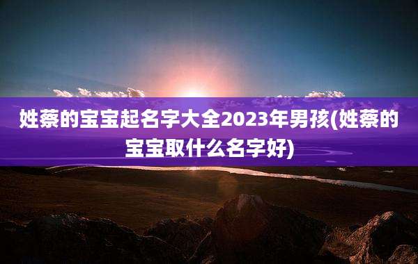 姓蔡的宝宝起名字大全2023年男孩(姓蔡的宝宝取什么名字好)