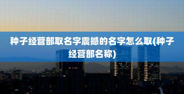 种子经营部取名字震撼的名字怎么取(种子经营部名称)