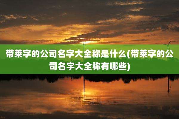 带莱字的公司名字大全称是什么(带莱字的公司名字大全称有哪些)
