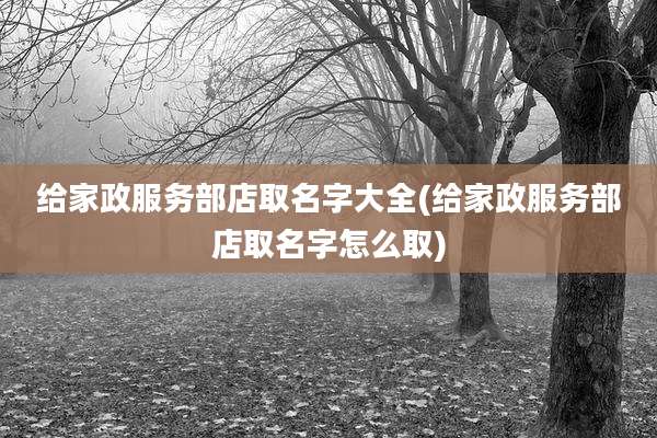 给家政服务部店取名字大全(给家政服务部店取名字怎么取)