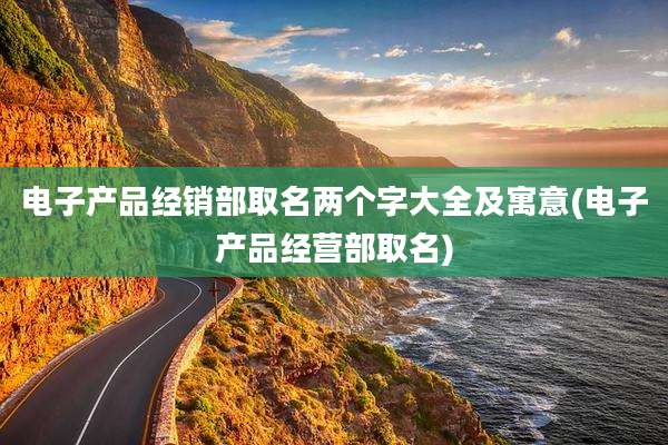 电子产品经销部取名两个字大全及寓意(电子产品经营部取名)