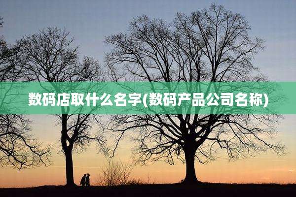数码店取什么名字(数码产品公司名称)