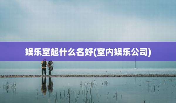 娱乐室起什么名好(室内娱乐公司)