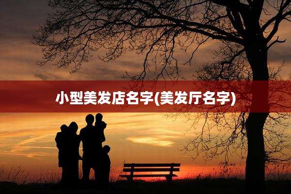 小型美发店名字(美发厅名字)