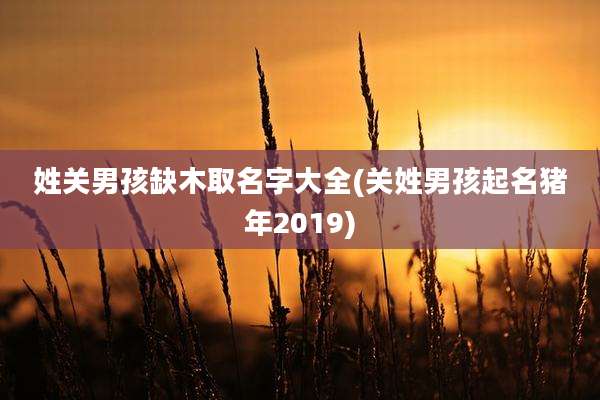 姓关男孩缺木取名字大全(关姓男孩起名猪年2019)