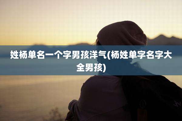 姓杨单名一个字男孩洋气(杨姓单字名字大全男孩)