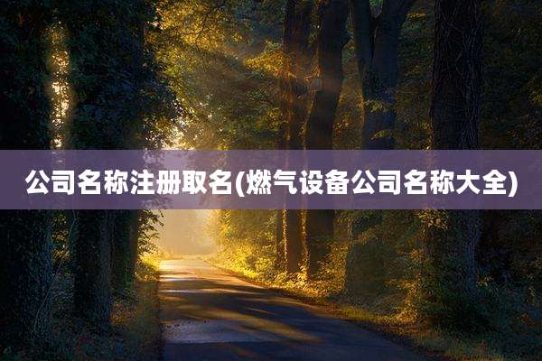 公司名称注册取名(燃气设备公司名称大全)
