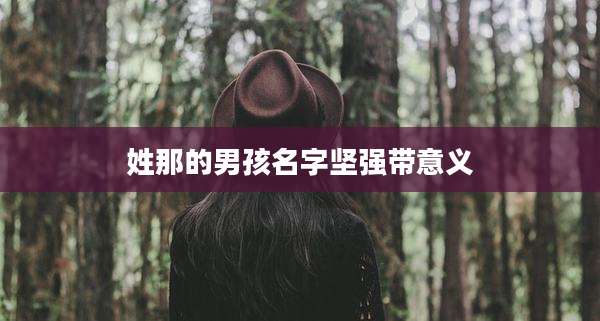 姓那的男孩名字坚强带意义