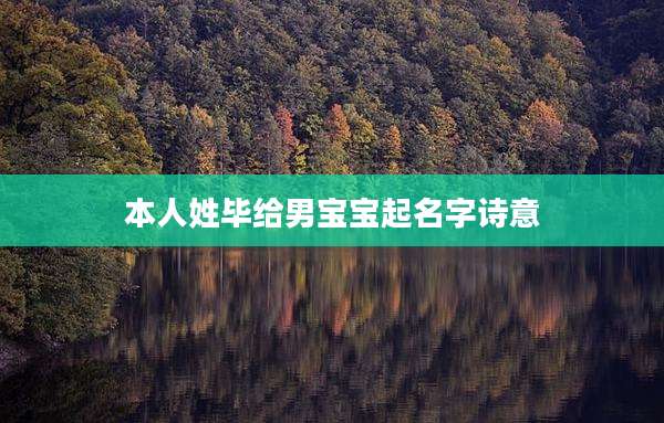 本人姓毕给男宝宝起名字诗意