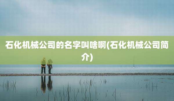 石化机械公司的名字叫啥啊(石化机械公司简介)