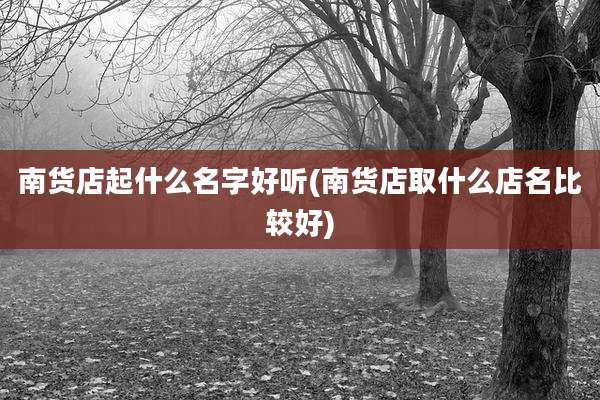 南货店起什么名字好听(南货店取什么店名比较好)