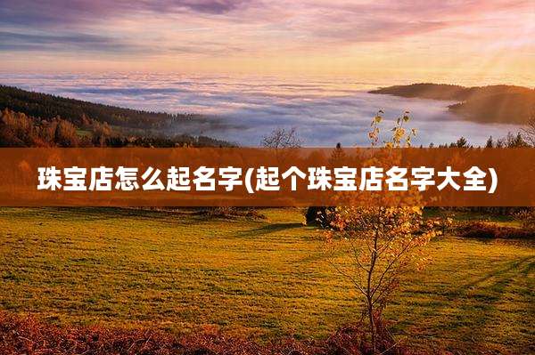 珠宝店怎么起名字(起个珠宝店名字大全)