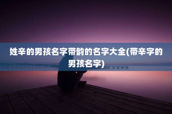 姓辛的男孩名字带韵的名字大全(带辛字的男孩名字)