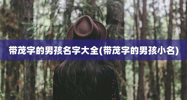 带茂字的男孩名字大全(带茂字的男孩小名)