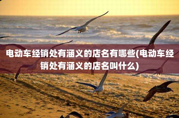 电动车经销处有涵义的店名有哪些(电动车经销处有涵义的店名叫什么)