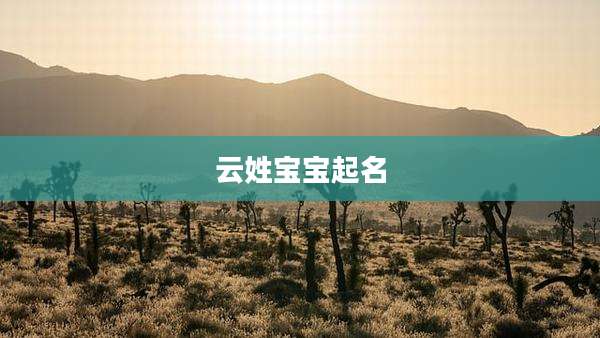 云姓宝宝起名