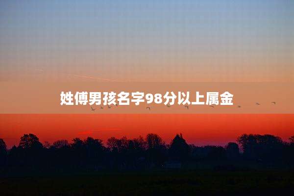 姓傅男孩名字98分以上属金