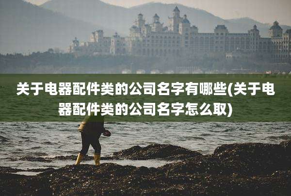关于电器配件类的公司名字有哪些(关于电器配件类的公司名字怎么取)