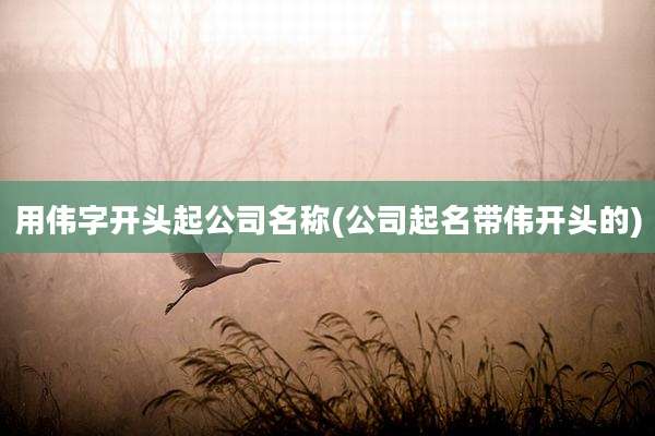 用伟字开头起公司名称(公司起名带伟开头的)
