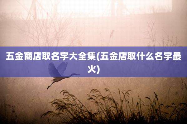 五金商店取名字大全集(五金店取什么名字最火)