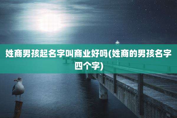 姓商男孩起名字叫商业好吗(姓商的男孩名字四个字)