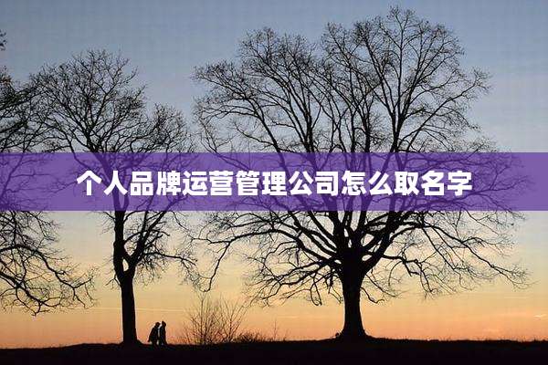 个人品牌运营管理公司怎么取名字