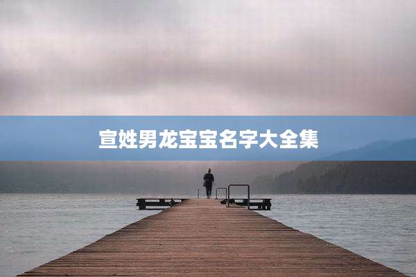 宣姓男龙宝宝名字大全集