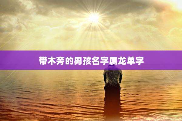 带木旁的男孩名字属龙单字