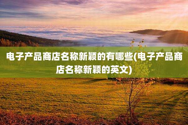电子产品商店名称新颖的有哪些(电子产品商店名称新颖的英文)