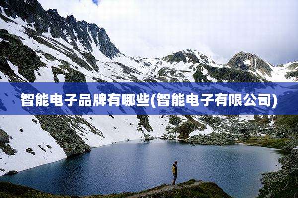 智能电子品牌有哪些(智能电子有限公司)