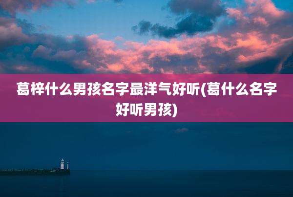 葛梓什么男孩名字最洋气好听(葛什么名字好听男孩)