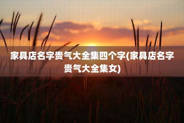 家具店名字贵气大全集四个字(家具店名字贵气大全集女)
