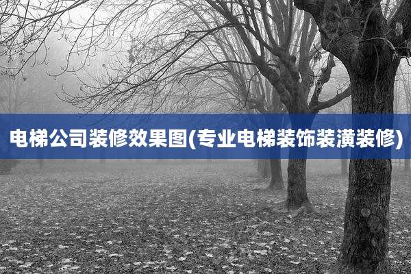 电梯公司装修效果图(专业电梯装饰装潢装修)