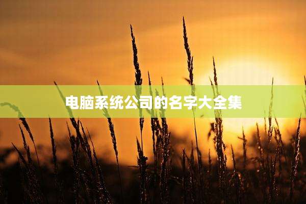 电脑系统公司的名字大全集