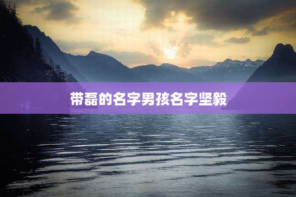 带磊的名字男孩名字坚毅