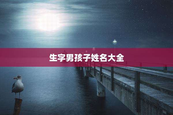 生字男孩子姓名大全