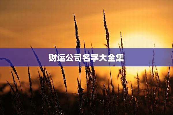 财运公司名字大全集