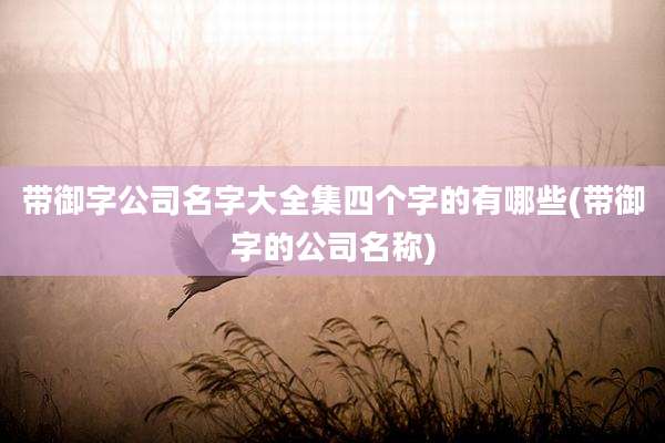 带御字公司名字大全集四个字的有哪些(带御字的公司名称)
